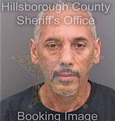 Nieves Fernando - Hillsborough County, FL 