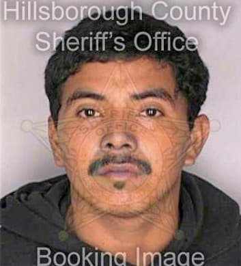 Juarez David - Hillsborough County, FL 