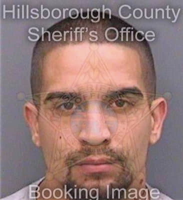 Santiago Gabriel - Hillsborough County, FL 