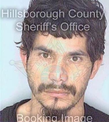 Carrillo Homero - Hillsborough County, FL 