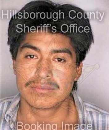 Juarez Leonardo - Hillsborough County, FL 