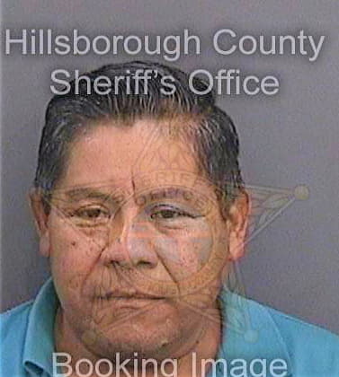 Martinezgonzalez Miguel - Hillsborough County, FL 