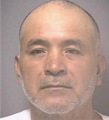 Martinezramirez Moises - Hillsborough County, FL 