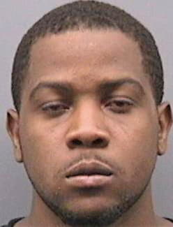 Freeman Rayshawn - Hillsborough County, FL 