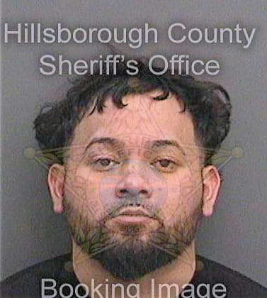 Gonzalez Henry - Hillsborough County, FL 