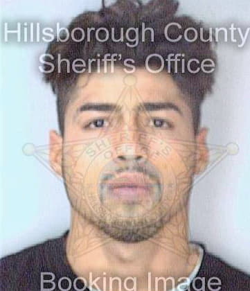 Feblez Ramon - Hillsborough County, FL 