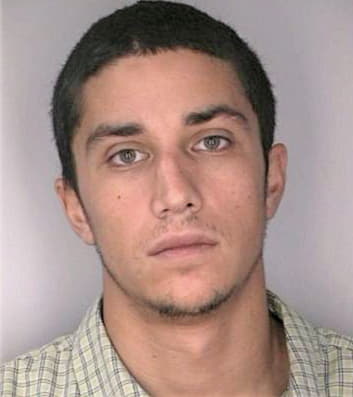 Montalvo Brian - Hillsborough County, FL 
