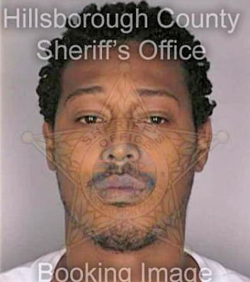 Adams Enrico - Hillsborough County, FL 