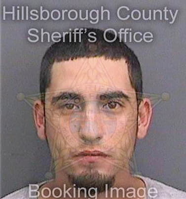 Perello Frank - Hillsborough County, FL 