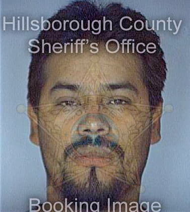Lopezgarrido Raul - Hillsborough County, FL 