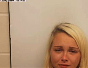 Grey Samantha - Chatham County, GA 