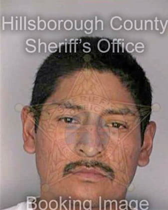 Hernandez Guillermo - Hillsborough County, FL 