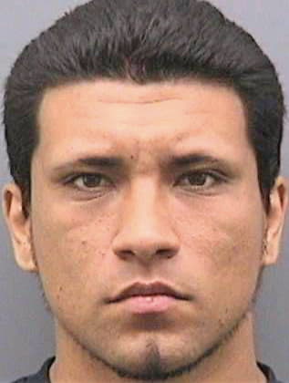 Longoria Michael - Hillsborough County, FL 