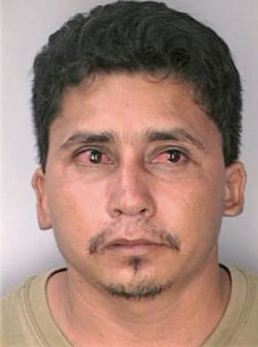 Ayala Pedro - Hillsborough County, FL 