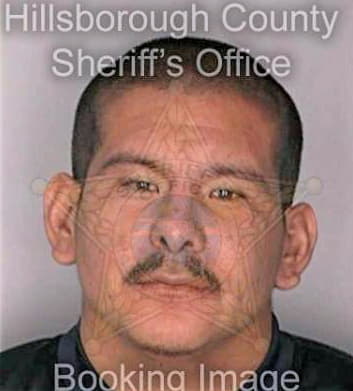 Pena Donato - Hillsborough County, FL 