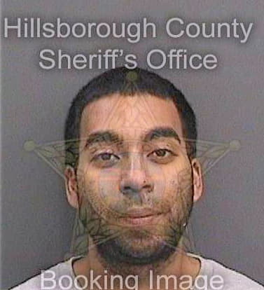 Javage Andres - Hillsborough County, FL 