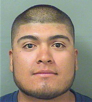 Delacruz Jose - PalmBeach County, FL 
