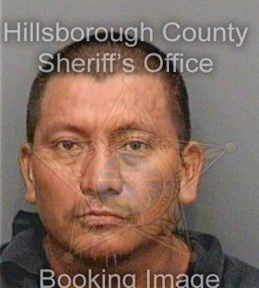 Dominguezzapon Julian - Hillsborough County, FL 