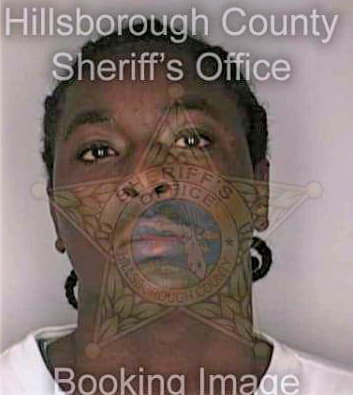 Mitchell Julian - Hillsborough County, FL 