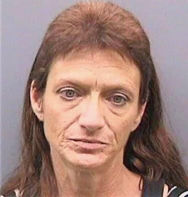 Stutz Kelly - Hillsborough County, FL 