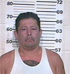 Mendez Mario - Hidalgo County, TX 