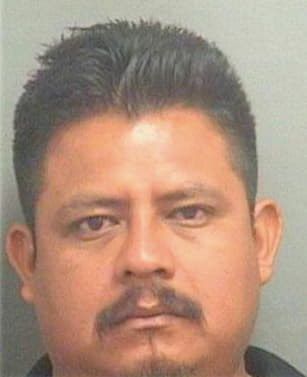 Gasparnoe Miguel - PalmBeach County, FL 