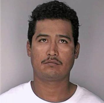 Ramon Ravdel - Hillsborough County, FL 