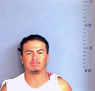 Herrera Rene - Brazos County, TX 