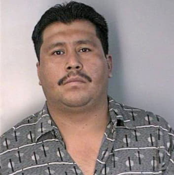 Garcia Rogelo - Hillsborough County, FL 