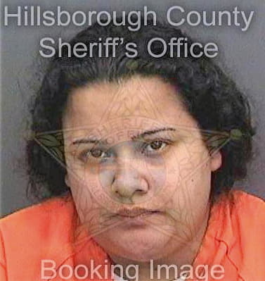 Nunez Rosa - Hillsborough County, FL 