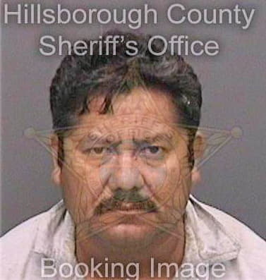 Rosaslazaro Vicente - Hillsborough County, FL 