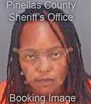 Burns Angela - Pinellas County, FL 