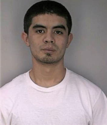 Ayala Hamed - Hillsborough County, FL 