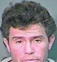 Harrison Harold - Knox County, TN 