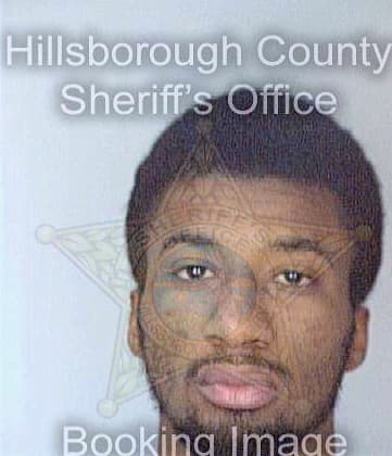 Williams James - Hillsborough County, FL 