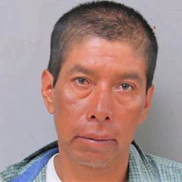 Bravo Moises - Madera County, CA 