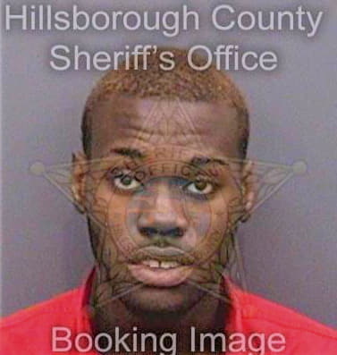 Brown David - Hillsborough County, FL 
