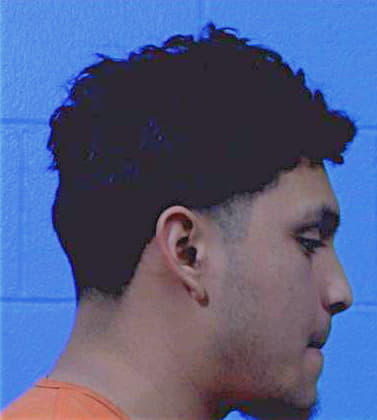 Luis-Julian Gilberto - Williamson County, TX 