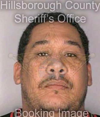 Negron Joe - Hillsborough County, FL 