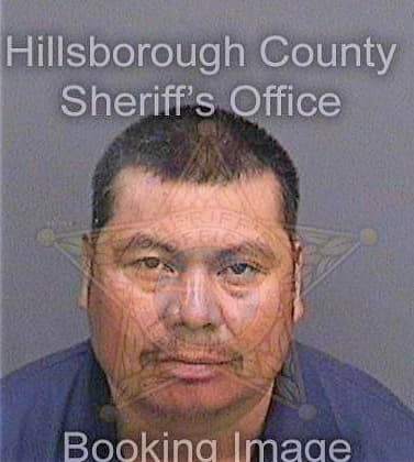 Lopezgarcia Luis - Hillsborough County, FL 