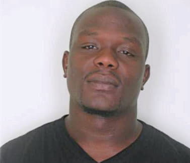 Palmore Michael - Hillsborough County, FL 