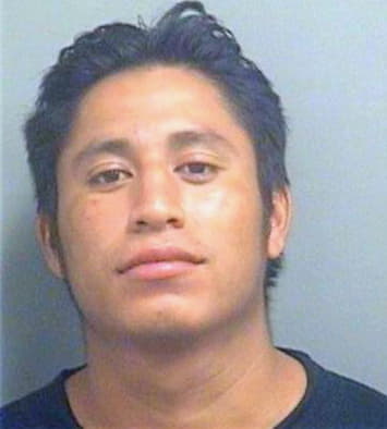 Perezortiz Rosember - PalmBeach County, FL 
