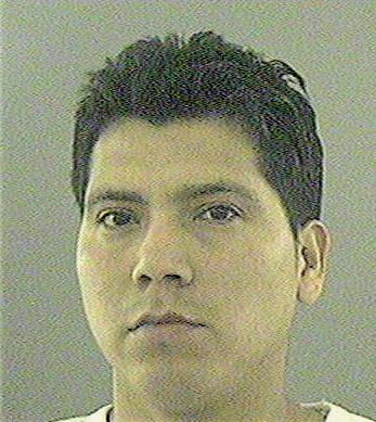 Robles David - Gwinnett County, GA 