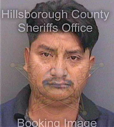Lunaperez Enrique - Hillsborough County, FL 