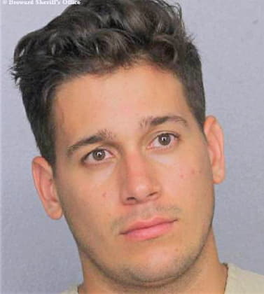 Andrade Michael - Broward County, FL 