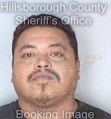 Perez Danny - Hillsborough County, FL 