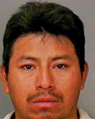 Garcia-Guiterrez Faustino - Polk County, FL 