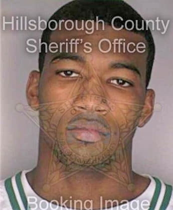 Mcleod Eric - Hillsborough County, FL 