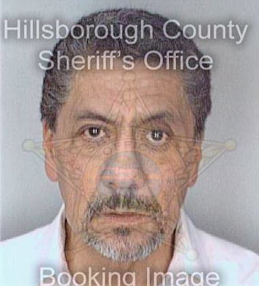 Mendez Fernando - Hillsborough County, FL 