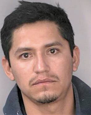 Flores Gustavo - Hillsborough County, FL 